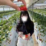 ヒメ日記 2026/04/02 14:01 投稿 まどか CUTE