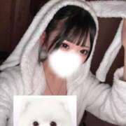 ヒメ日記 2026/04/13 10:31 投稿 まどか CUTE