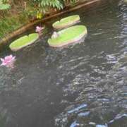 ヒメ日記 2026/01/14 09:12 投稿 るか 出会い系人妻ネットワーク さいたま～大宮編