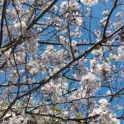 ヒメ日記 2026/03/30 13:44 投稿 あずさ 佐賀人妻デリヘル 「デリ夫人」