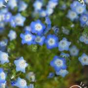 ヒメ日記 2026/04/06 12:10 投稿 あずさ 佐賀人妻デリヘル 「デリ夫人」