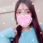 こなつ 🌸初めまして🌸 ニュー不夜城