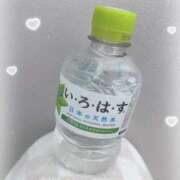 ヒメ日記 2026/02/12 23:13 投稿 【るり】 コーチと私と、ビート板･･･