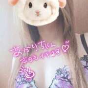 ☆あかり☆ 本日10時～15時♡あかり ◆プラウディア◆AAA級素人娘在籍店
