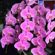 ヒメ日記 2026/02/16 15:51 投稿 艶やか美人きり 嗚呼、四十五歳以上