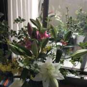 ヒメ日記 2026/03/19 17:11 投稿 艶やか美人きり 嗚呼、四十五歳以上