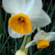 ヒメ日記 2026/02/02 19:08 投稿 藤野れん 五十路マダムエクスプレス豊橋店（カサブランカグループ）