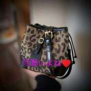 ヒメ日記 2026/03/18 21:38 投稿 藤野れん 五十路マダムエクスプレス豊橋店（カサブランカグループ）