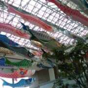 ヒメ日記 2026/05/05 15:34 投稿 藤野れん 五十路マダムエクスプレス豊橋店（カサブランカグループ）