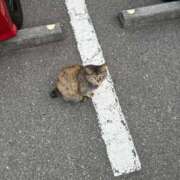 ヒメ日記 2026/01/24 21:27 投稿 ぴの カリビアン