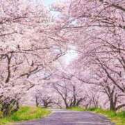 ヒメ日記 2026/03/28 13:42 投稿 神城まつり 五十路マダムエクスプレス船橋店(カサブランカグループ)