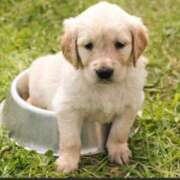 ヒメ日記 2026/04/24 21:29 投稿 ひとみ 完熟ばなな 谷九店