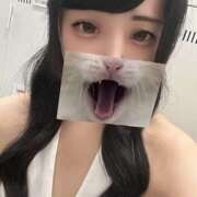 ヒメ日記 2026/06/29 18:44 投稿 うい エマニエル秋葉原