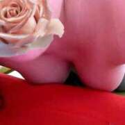 ヒメ日記 2026/01/20 11:59 投稿 すみれ 宮崎ちゃんこ都城店