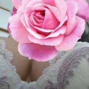 ヒメ日記 2026/02/10 09:25 投稿 すみれ 宮崎ちゃんこ都城店