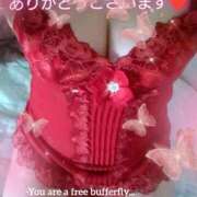 ヒメ日記 2026/04/06 19:20 投稿 すみれ 宮崎ちゃんこ都城店