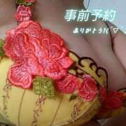 ヒメ日記 2026/06/30 10:25 投稿 すみれ 宮崎ちゃんこ都城店