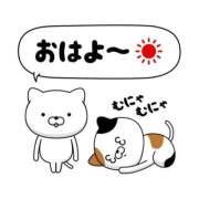 ヒメ日記 2026/08/24 10:35 投稿 すみれ 宮崎ちゃんこ都城店