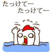ヒメ日記 2026/09/10 17:37 投稿 すみれ 宮崎ちゃんこ都城店