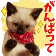 ヒメ日記 2026/09/14 09:55 投稿 すみれ 宮崎ちゃんこ都城店