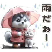 ヒメ日記 2026/09/18 10:15 投稿 すみれ 宮崎ちゃんこ都城店