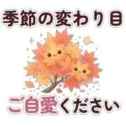 ヒメ日記 2026/10/11 15:18 投稿 すみれ 宮崎ちゃんこ都城店