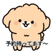 ヒメ日記 2026/02/14 15:44 投稿 るい 兵庫加東小野ちゃんこ