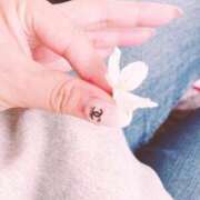 ぱぷりか もう桜散ったかな？ ぽちゃLOVE(サンライズグループ)