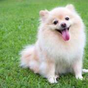 ヒメ日記 2026/04/04 12:51 投稿 ひのり Beppin house