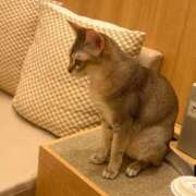 ヒメ日記 2026/05/03 14:30 投稿 ひのり Beppin house