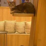ヒメ日記 2026/05/03 15:40 投稿 ひのり Beppin house