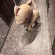 ヒメ日記 2026/06/28 08:46 投稿 米澤ちひろ 華椿