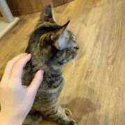 ヒメ日記 2026/01/29 19:58 投稿 るみな 佐賀デリヘル358