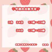 ヒメ日記 2026/02/23 08:00 投稿 るみな 佐賀デリヘル358