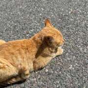 ヒメ日記 2026/03/19 23:30 投稿 るみな 佐賀デリヘル358