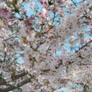 ヒメ日記 2026/04/08 14:35 投稿 るるか ていくぷらいど.学園