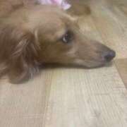 ヒメ日記 2026/06/07 20:08 投稿 るるか ていくぷらいど.学園