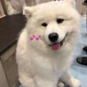 ヒメ日記 2026/03/08 14:52 投稿 りん スピード梅田店