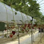 ヒメ日記 2026/04/10 18:42 投稿 りん スピード梅田店