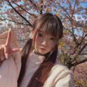 ヒメ日記 2026/02/22 18:50 投稿 なずな E+アイドルスクール品川店