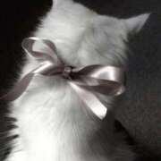 ヒメ日記 2026/03/15 03:01 投稿 おとは デザインプリズム新宿