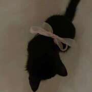 ヒメ日記 2026/03/26 02:44 投稿 おとは デザインプリズム新宿