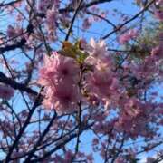 ヒメ日記 2026/03/31 06:51 投稿 おとは デザインプリズム新宿