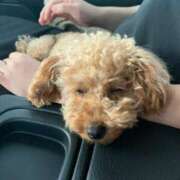 ヒメ日記 2026/02/02 18:27 投稿 さつき 新宿スピン