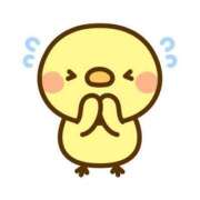 ヒメ日記 2026/01/26 08:10 投稿 いちか アラモード