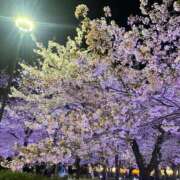 ヒメ日記 2026/04/05 15:19 投稿 いちか アラモード