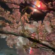 ヒメ日記 2026/04/06 11:14 投稿 神代いちか すべりん棒シャンプー娘。（横浜ハレ系）