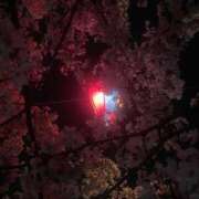 ヒメ日記 2026/04/15 11:56 投稿 神代いちか すべりん棒シャンプー娘。（横浜ハレ系）