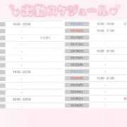 てん 3月の出勤予定🫧 新宿プチドール