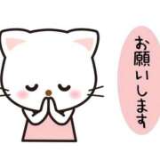 ヒメ日記 2026/05/08 23:52 投稿 てん 新宿プチドール